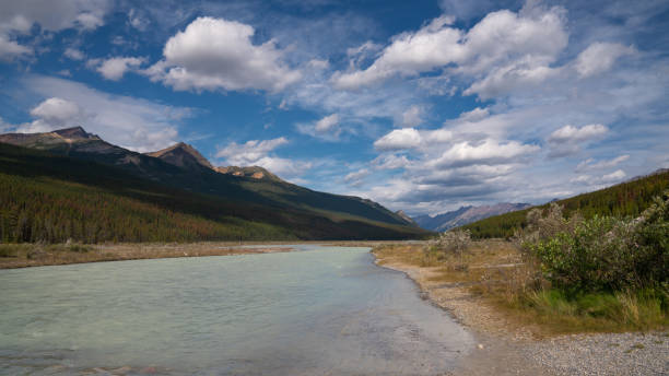 istock Jasper National Park, Alberta, Canada 1195427990