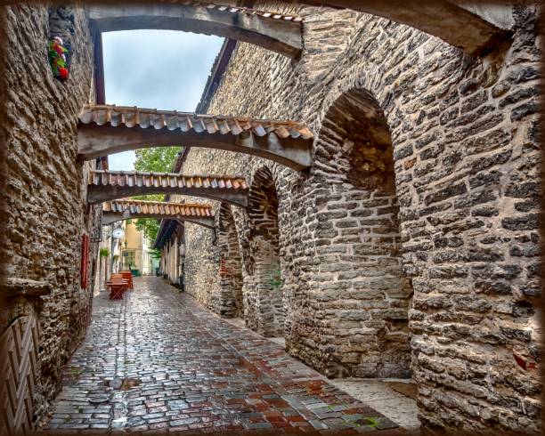 istock Old city street scenery in Tallinn 1195428171