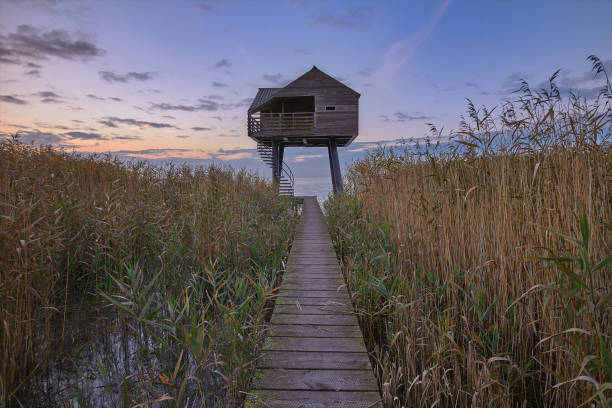 istock Kiekkaaste Bird watching tower in Groningen 1195429381