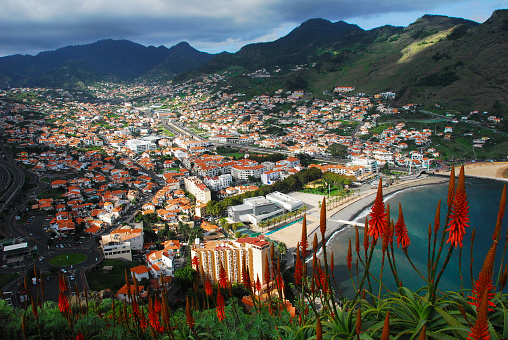 cityview, houses, town, holiday, madeira island, nature