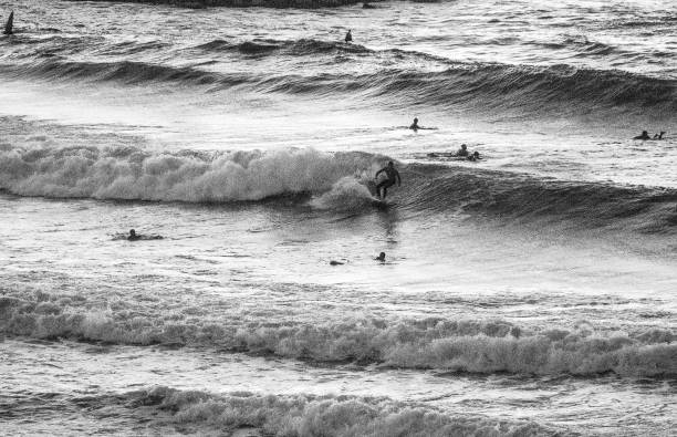 istock Surfer ride the wave. Tel Aviv December Evening. Sunset 1195432011