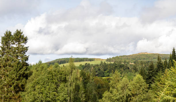 istock Blair Atholl, Scotland 1195433382