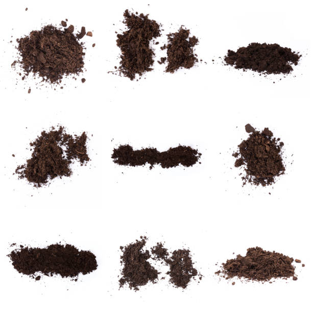 istock Patch of soil or mud isolated on white background 1195436805