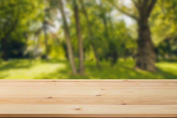 istock Wooden board empty table in front of a blurred background. Perspective brown wood with a blurry background of nature or park - can be used to showcase or assemble your products. Mock up 1195436832