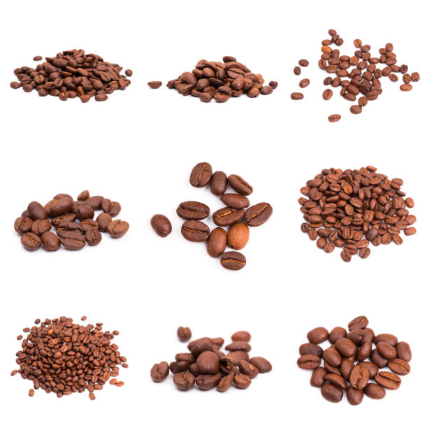 istock set of roasted coffee beans. Isolated on a white background. 1195436954
