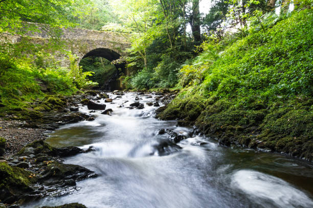 istock Banvie Burn in Scotland 1195439695