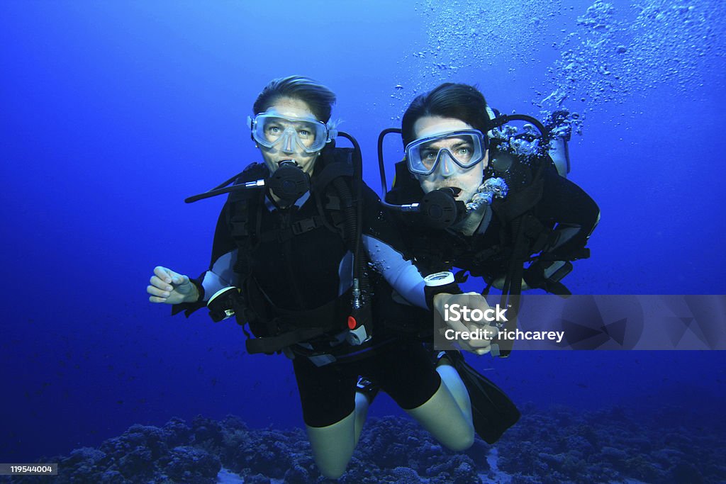 Couple Scuba Diving  Couple - Relationship Stock Photo