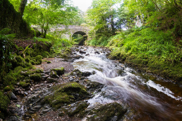 istock Banvie Burn in Scotland 1195440202