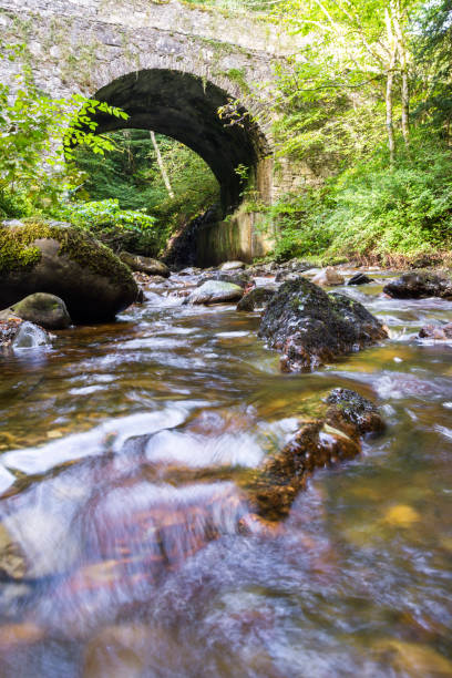 istock Banvie Burn in Scotland 1195440843