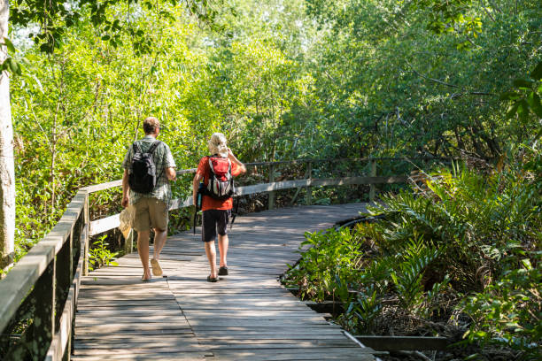 istock Father and son walking in tropical rain forest 1195441246