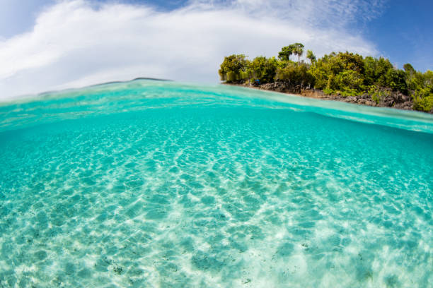 istock Tropical Seas and Blue Sky in Indonesia 1195446243