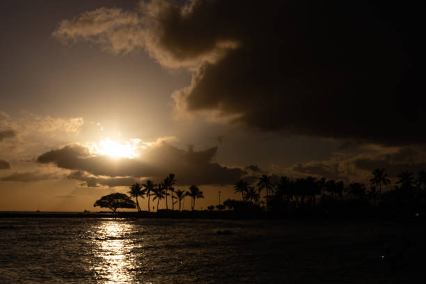 istock Dramatic Waikiki Sunset View with Background of Palm Trees 1195447443