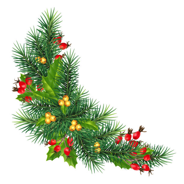 ilustrações de stock, clip art, desenhos animados e ícones de festive christmas or new year garland. christmas tree branches. holiday's background. - tree single word green fruit