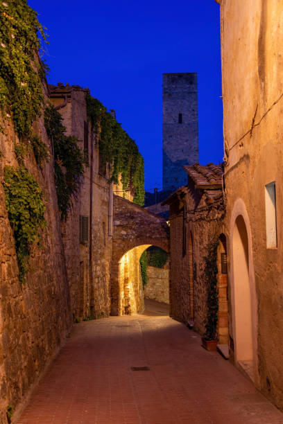 istock San Gimignano, Tuscany, Italy 1195449648