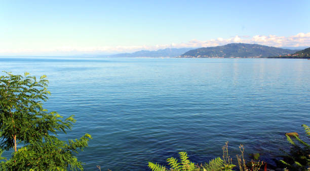 istock Black sea coast in summer 1195452201