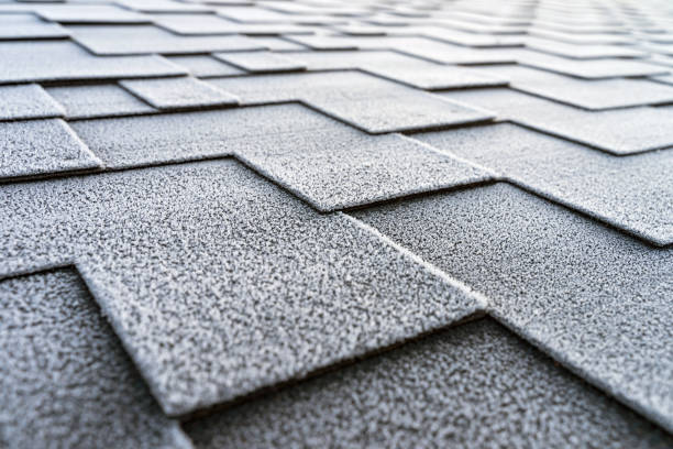 istock Close up view on asphalt roofing shingles covered with frost. 1195453629