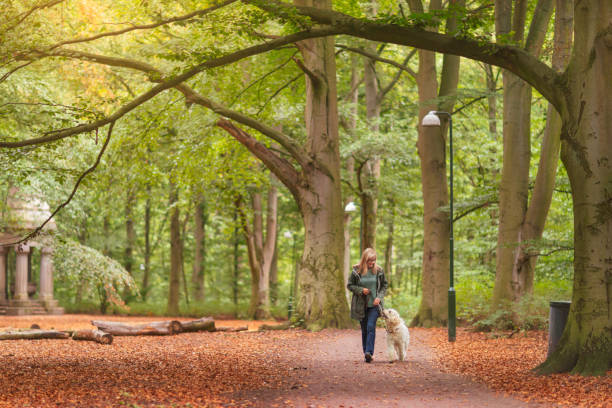 istock Woman out for a walk with her dog 1195453747