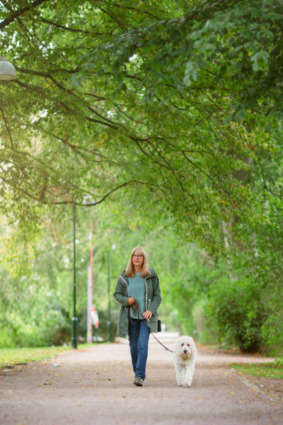 istock Dog and owner out for a walk 1195454384