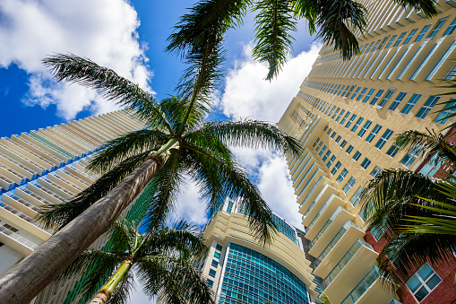 View of Downtown Miami Buildings with a Clear Sky