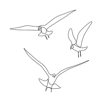 Flying birds in line art drawing style. Group of gulls black linear sketch on white background. Vector illustration