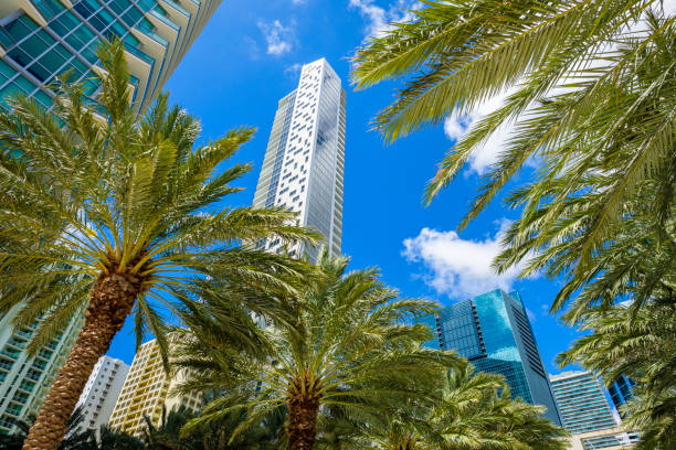 downtown miami brickell - apartment skyscraper florida architecture stock-fotos und bilder