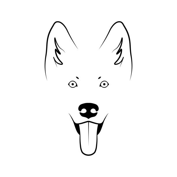 widok z przodu głowy psa - german shepherd illustrations stock illustrations