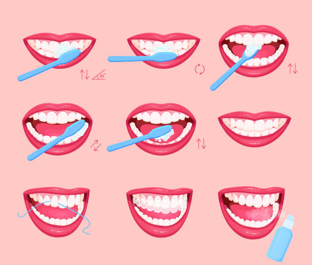 как чистить зубы инструкцией, инфографикой. здоровый образ жизни. - dental floss brushing teeth dental hygiene dental equipment stock illustrations