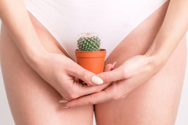 istock Woman holding a cactus in a pot. 1195467429