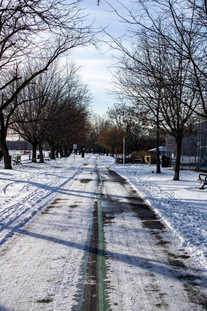 istock Footpath in a park on a winter afternoon 1195470375