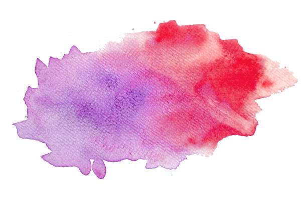 istock Red and purple Abstract watercolor on white background 1195478742