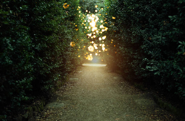 istock Magical forest. Green leaves with lights. Dark emerald color. 1195481728