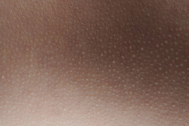 Surface of brown clean skin close up macro view
