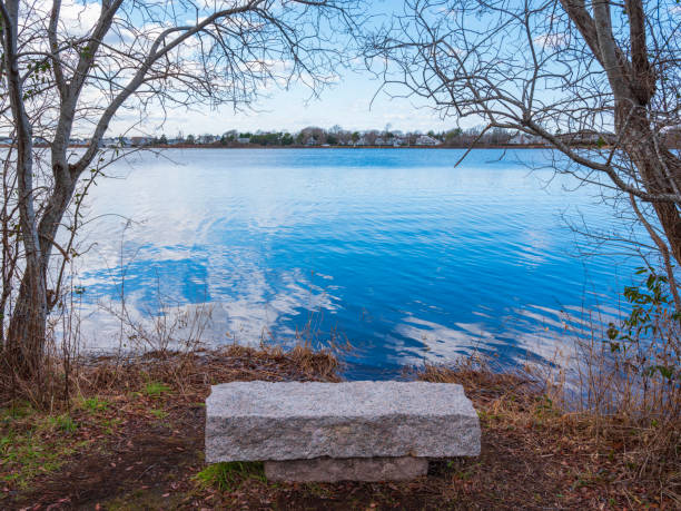 istock Memorial bench beside a small lake 1195490412