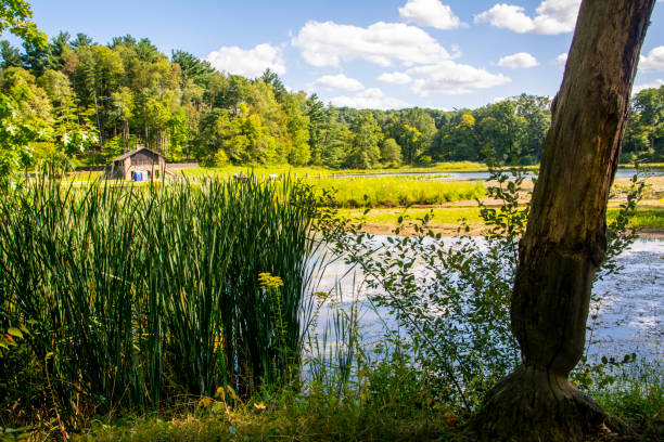istock A perfect summer day by the lake 1195493690