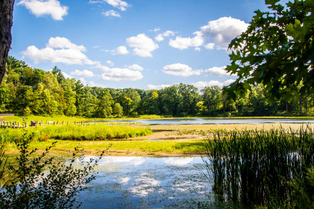 istock A perfect summer day by the lake 1195493748