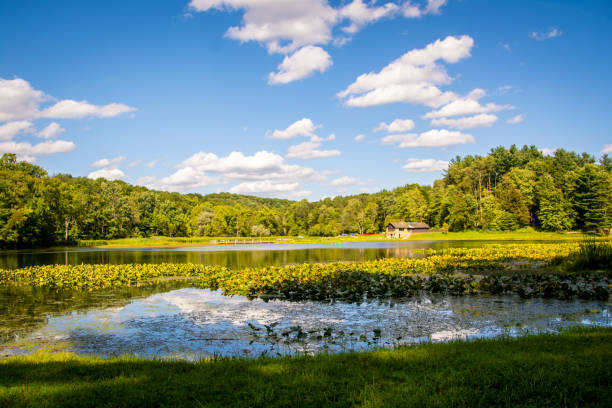 istock Perfect blue sky day sitting by Kendall Lake in Ohio 1195493749