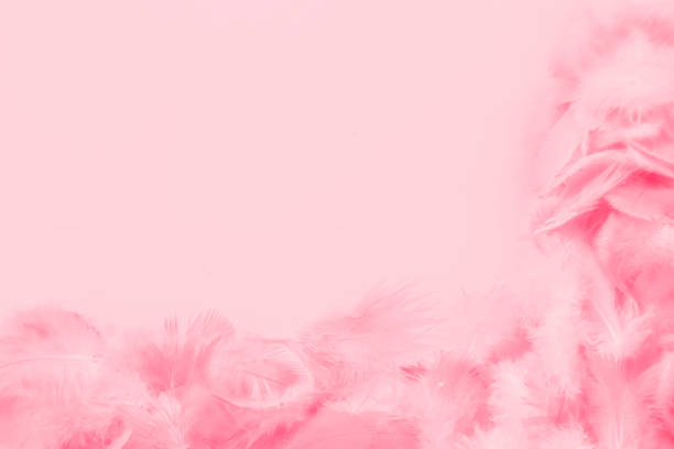 istock Beautiful abstract colorful white and pink feathers on white background and soft white red feather texture on pink pattern, pink background 1195494567