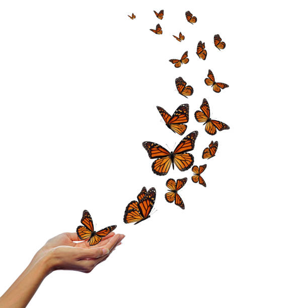 istock Hands releasing butterflies 1195499706