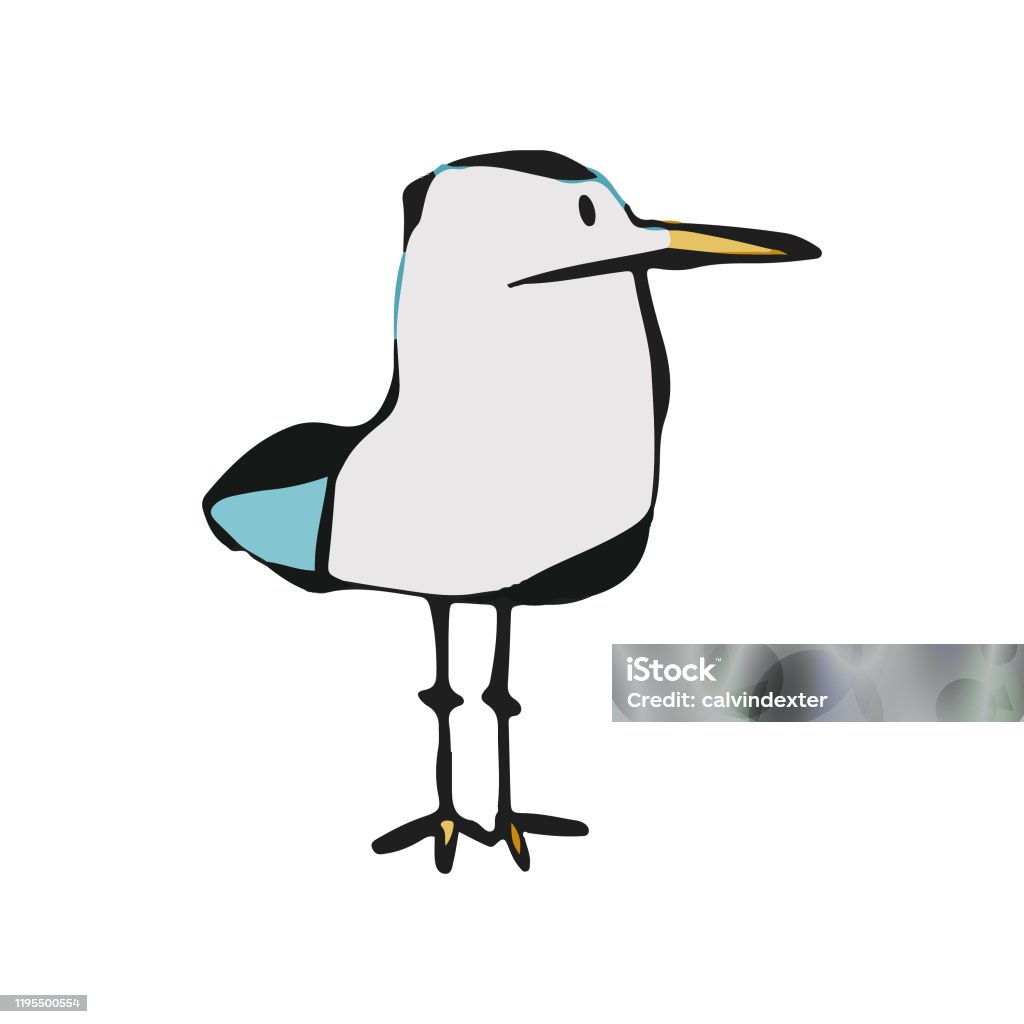 Seagull Cartoon Drawing Stock Illustration - Download Image Now - Seagull,  Cut Out, Illustration - iStock