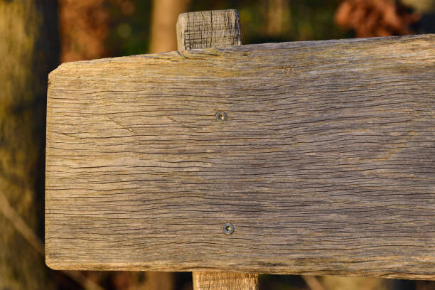 istock Text box and background from a rustic weathered wooden chalkboard in sunlight in the forest in front of trees 1195502357