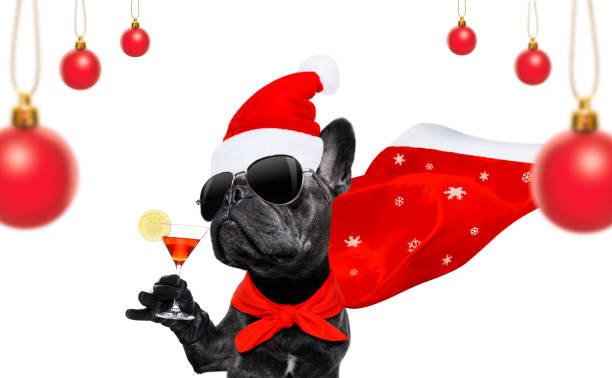 istock christmas santa claus dog 1195504849
