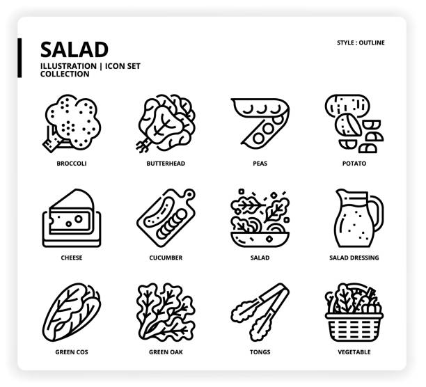 illustrations, cliparts, dessins animés et icônes de ensemble d'icône de salade - celery nutrient vegetable plant