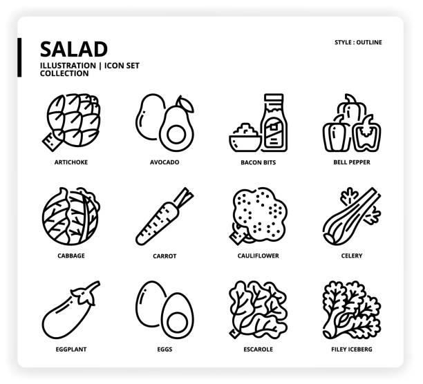 illustrations, cliparts, dessins animés et icônes de ensemble d'icône de salade - celery nutrient vegetable plant