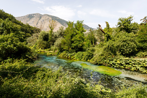 Syri i Kaltër - Blue Eye - geological phenomenon where a stream of fresh, cold water flow to the surface from under ground. Amazing green vegetation around. Albania, Saranda area.