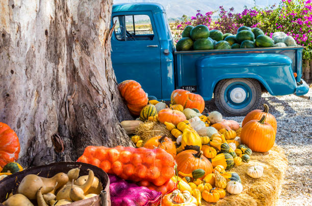 istock Old truck with vegetables and fruit parked next to tree 1195506041