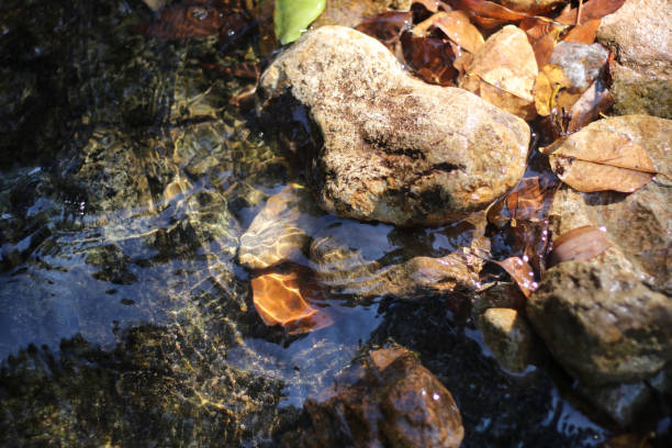 istock smooth clear water float on stone,rock water movement 1195509683