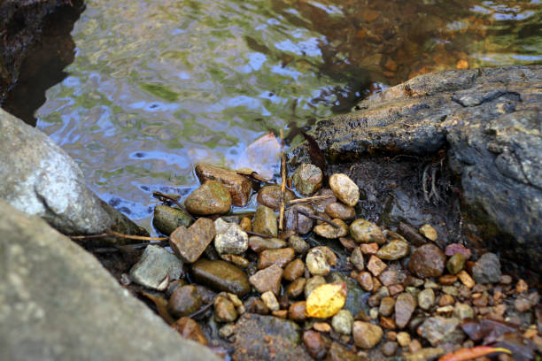 istock smooth clear water float on stone,rock water movement 1195509695