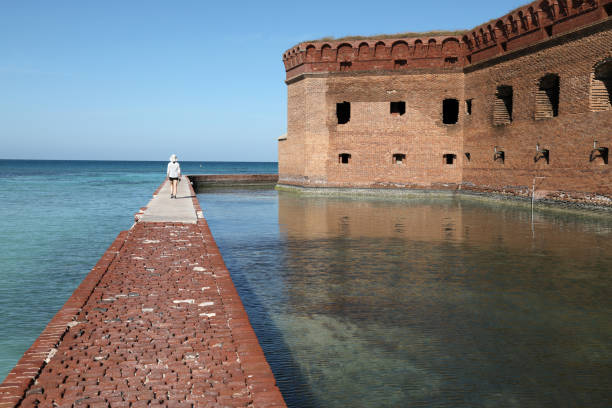 istock Dry Tortuga National Park 1195511407