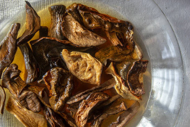 istock tasty fragrant dried mushrooms on a plate 1195512001