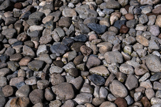 Stone texture, top view of abstract background round reeble stones stock photo